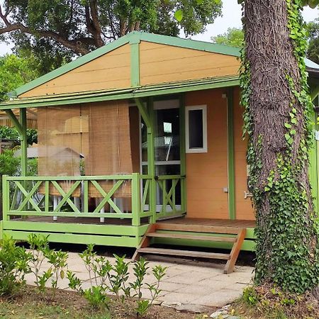 Casa Di Marina - Chalet Bungalow Ξενοδοχείο Sorbo-Ocagnano Εξωτερικό φωτογραφία